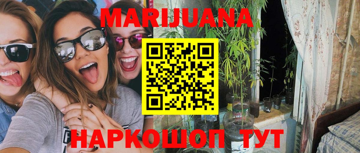 Шишки марихуана семена Дюртюли